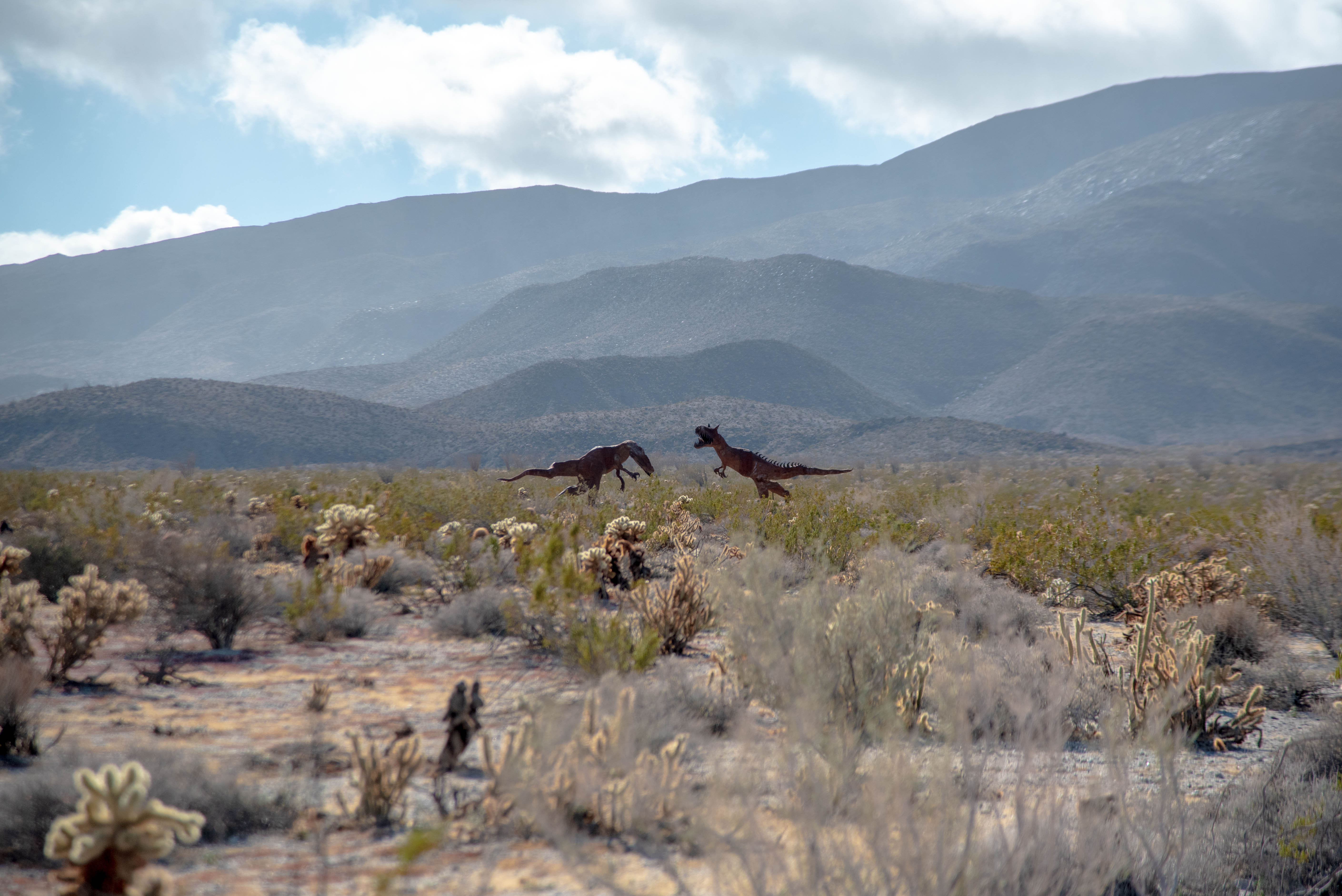 Borrego Springs Photography